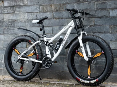 Xe đạp bánh béo DTZ Sport vành đúc 3 đao (Màu trắng)