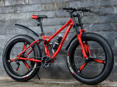 Xe đạp bánh béo DTZ Sport vành đúc 3 đao (Màu đỏ)